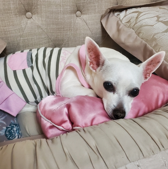 Meet your Seller Sandy 🐈⬛ - Picture 11 of 16